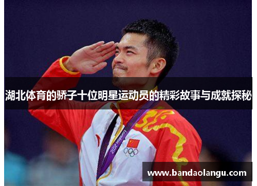 湖北体育的骄子十位明星运动员的精彩故事与成就探秘